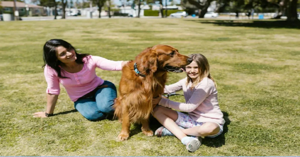 Golden Retriever breeder directory